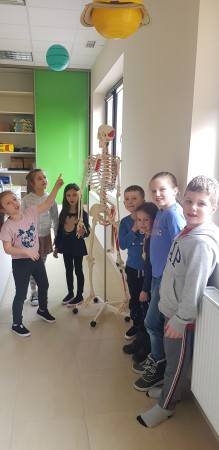 Uczniowie z modelem ludzkiego szkieletu