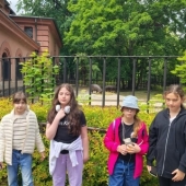 Niepubliczna Szkoła Podstawowa Niebieska 21